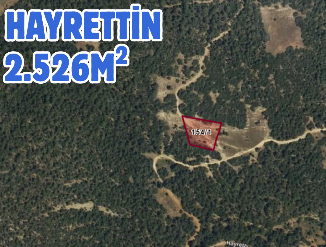 Fotoğraf